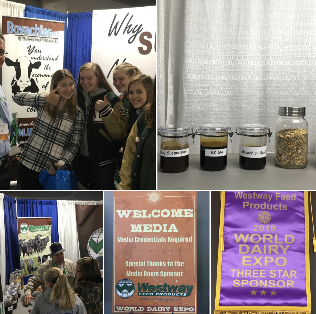 World Dairy Expo