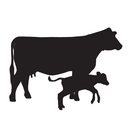 cow/calf, liquid feed supplements, westway feed products, molasses, molasses for cattle, cattle, cows, cattle feed, liquid feed, molasses-based feed, icon, black, 