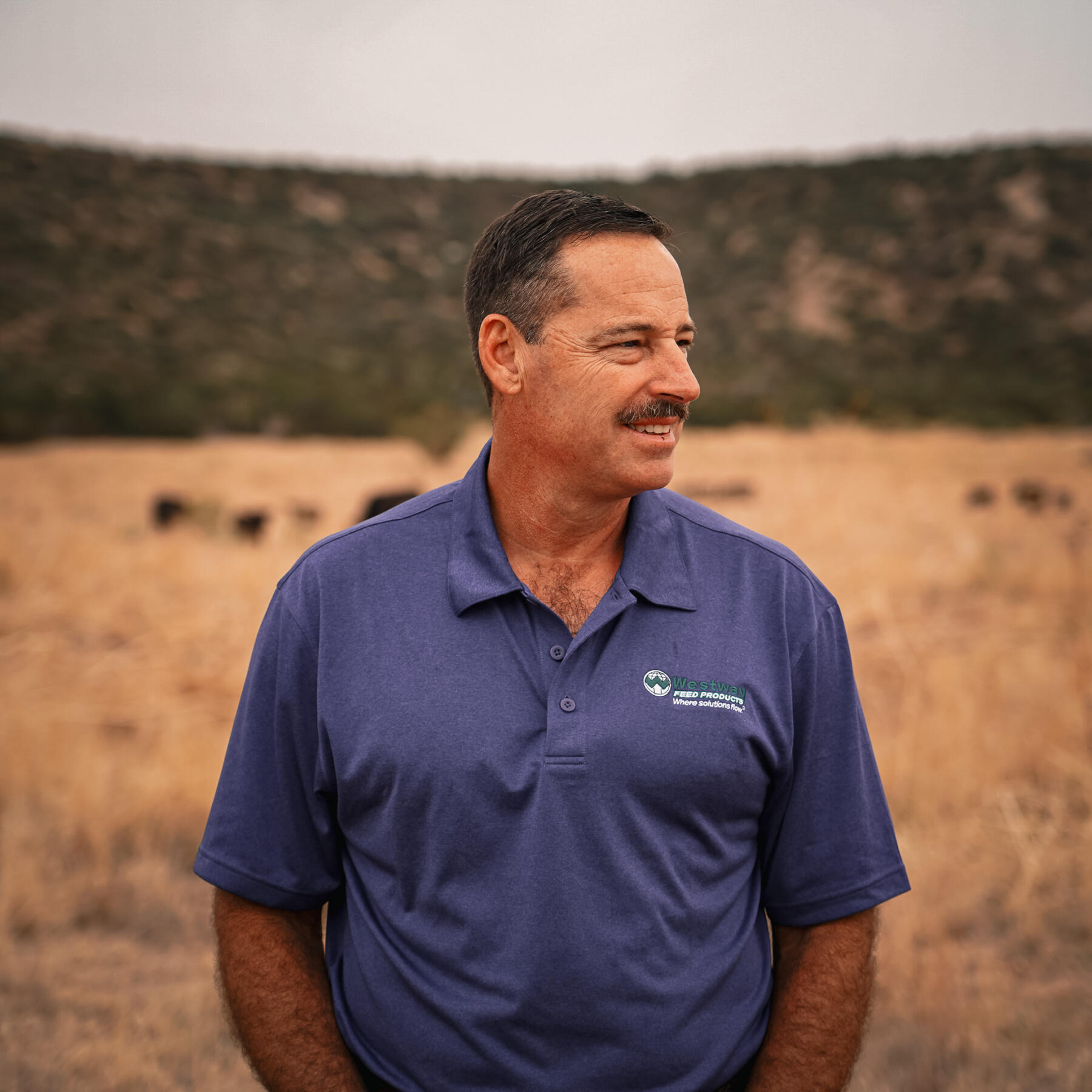 Dr. Kelly Sanders in a Texas field with cattle, explaining the role of forage changes in cattle nutrition for better feed efficiency and growth.