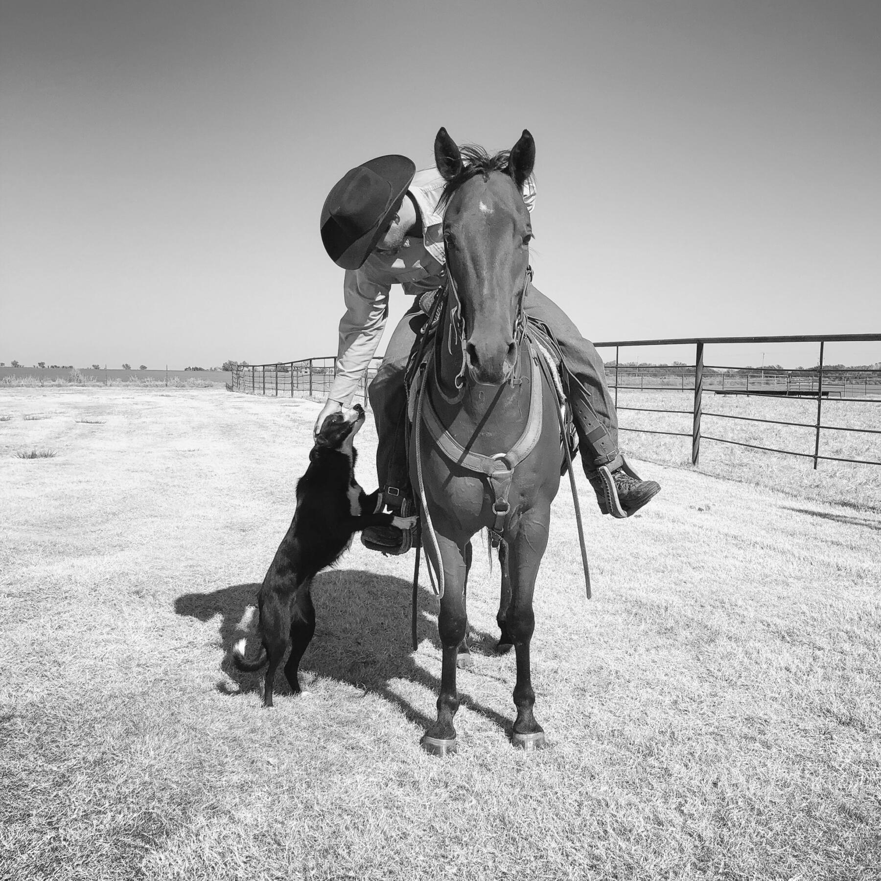 Dr. Taylor Garcia on horseback with his cow dog, preparing to talk about cattle dogs’ role in livestock management on the Ranch It Up podcast.