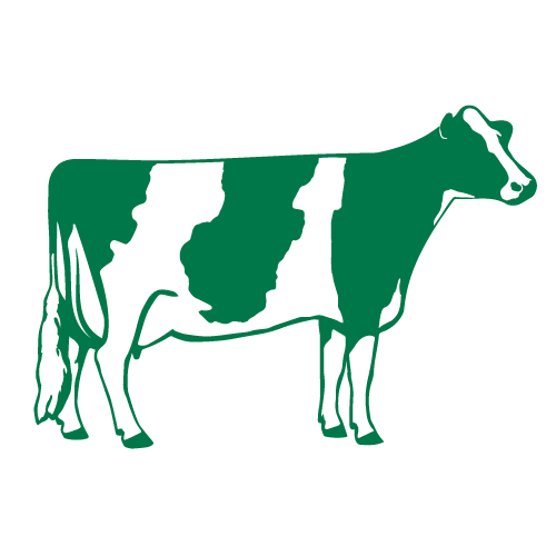 dairy, liquid feed supplements, westway feed products, molasses, molasses for cattle, cattle, cows, cattle feed, liquid feed, molasses-based feed, icon, black, 