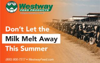 Westway Feed ad: orange gradient left, cows lined up on the right, large white headline 'Don’t Let the Milk Melt Away This Summer' with contact info.